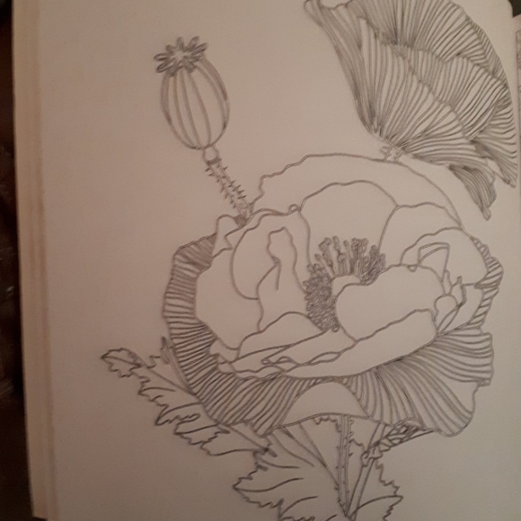 NWT - Garden Colouring Book - Picture 4 of 8
